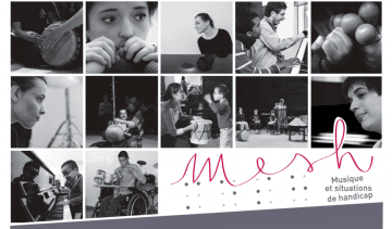 Le référent handicap en établissement d'enseignement artistique - Module 2