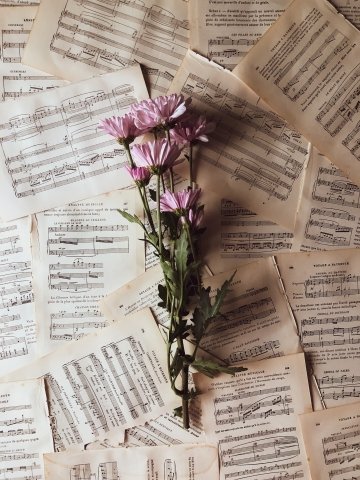 Photo by <a href="https://unsplash.com/@ranurte?utm_source=unsplash&utm_medium=referral&utm_content=creditCopyText">Ranurte</a> on <a href="https://unsplash.com/s/photos/sheet-music?utm_source=unsplash&utm_medium=referral&utm_content=creditCopyText">Unsplash</a>